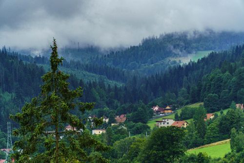 Śląskie-Mazury bliskie z Natury