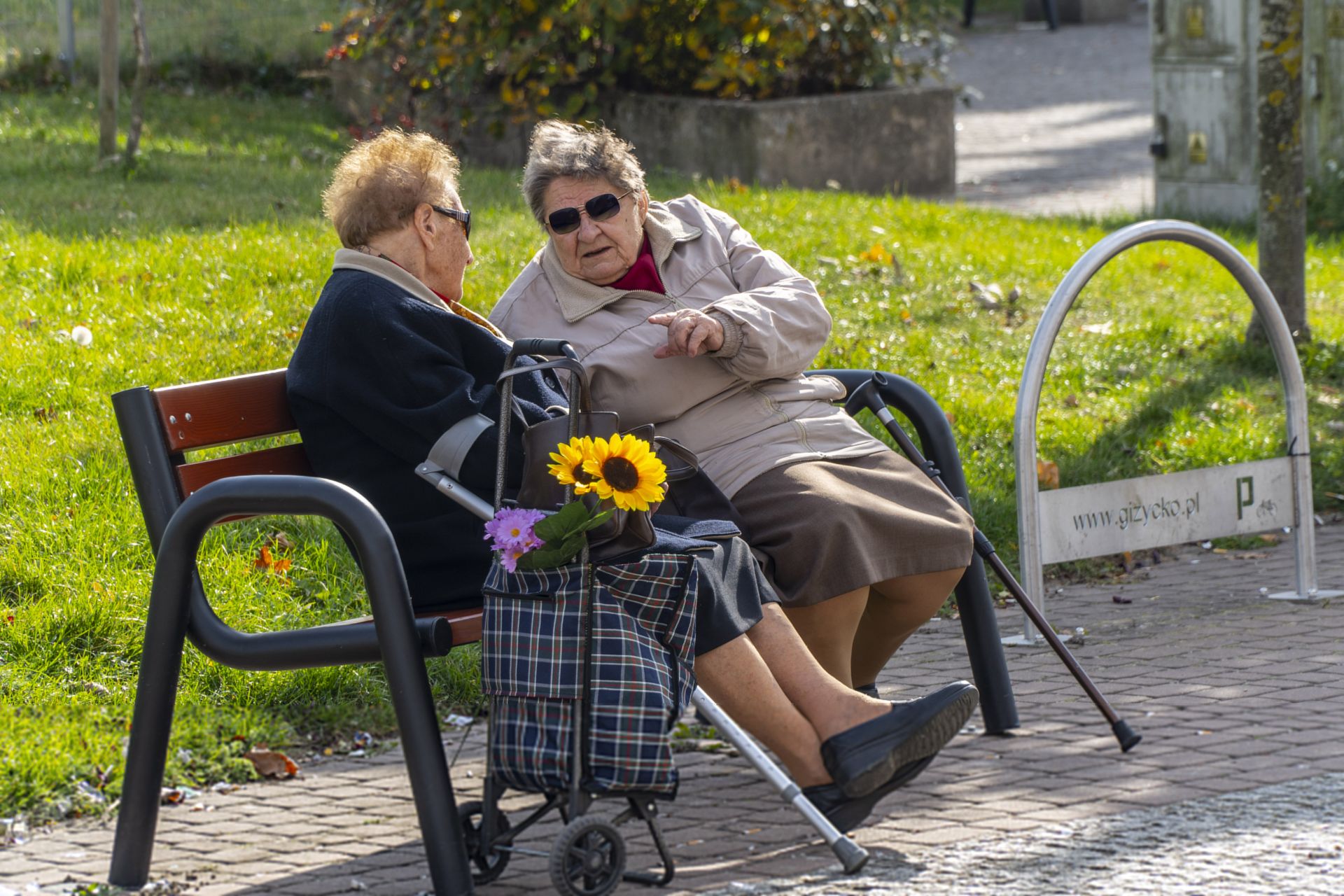 Seniorki na ławce
