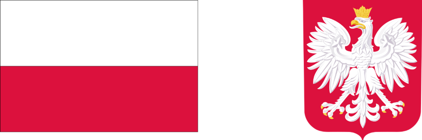 Logo z flagą